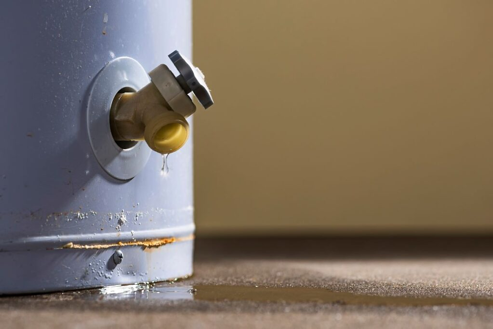 A garden hose connected to the drain valve at the bottom of a tank water heater with a bucket positioned to catch water